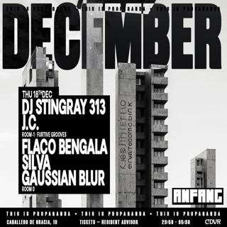 Dj Stingray 313 At Anfang