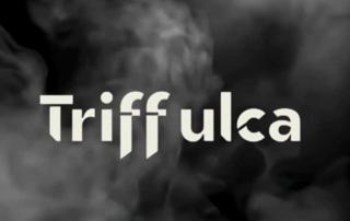 Triffulca Nochebuena - Specka Club