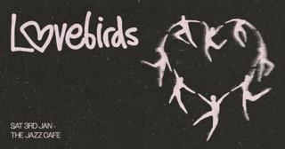 Lovebirds
