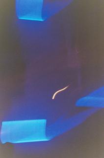 Neurons: E.Lina + Noodle