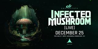 Dreamstate: Infected Mushroom