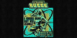 Ultrasonic Bussy: A Hundred Drums, Le Camille, Baby Wolf