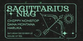 Chippy Nonstop • Dana Montana • Haruka • Joopiter