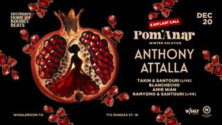Pom'Anar Winter Solstice: Anthony Attalla