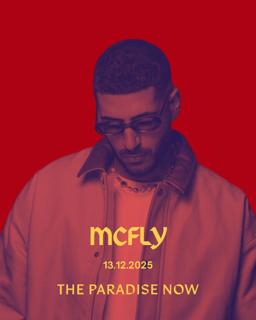 Mcfly - The Paradise Now