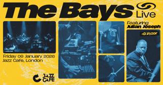 The Bays Live