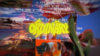 Ordinary