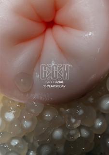 Gegen Bacchanal - 15 Years Bday