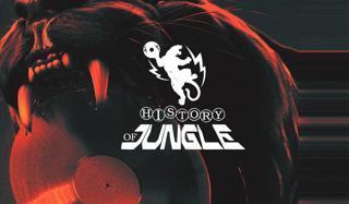 The History Of Jungle