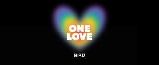 Bird Nye: One Love