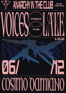 Anarchy With Voices From The Lake (Live) + Cosimo Damiano