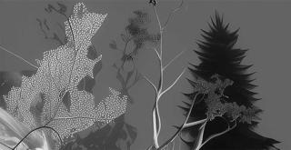 Macadam X Shield Run • Drafter ~ Dystopic ~ Draktar ~ Gibus ~ Demol