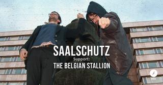 Saalschutz / The Belgian Stallion / Rolf Saxer