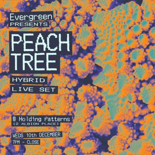Evergreen Presents: Peach Tree (Hybrid Live)