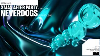 The Xmas Afterparty With Neverdogs