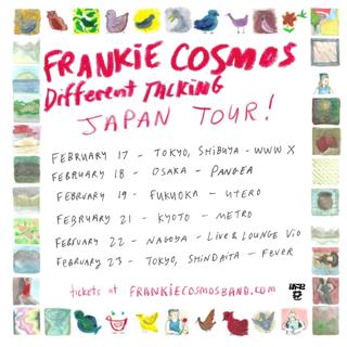 Nothing Feels Real Presents Frankie Cosmos Japan Tour 2026