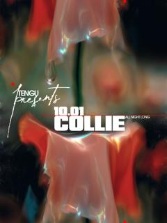 Tengu Presents: Collie All Night Long