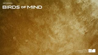 Birds Of Mind