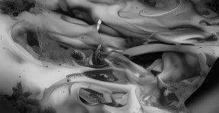 Macadam X Mauve • Maurice ~ Mad Daffy B2B Arnaud Is Dancing