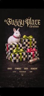 The Fuzzy Place Christmas