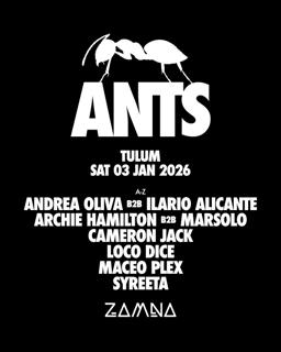 Ants Zamna Tulum - January 3Rd