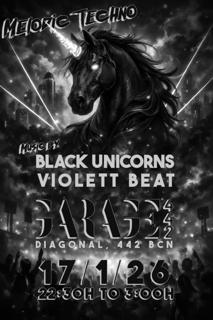 Black Unicorns Party