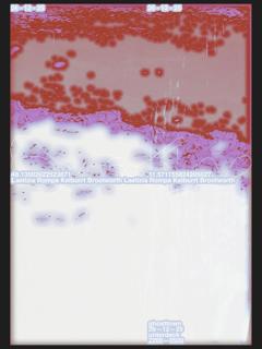 Ghosttown W/ Laetizia, Rompa, Kelburrt & Broothworth