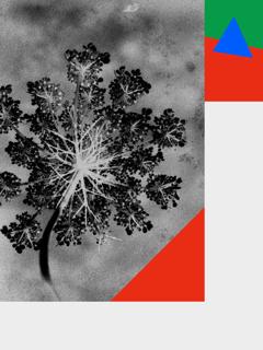 Fi X Rosenmontag Ben Klock & Brutalism & Hyperlove