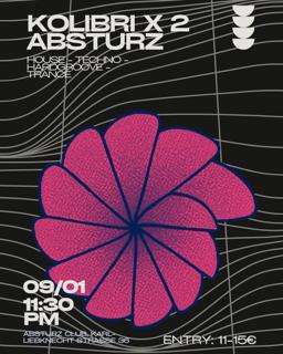 Kolibri X Absturz Vol.2