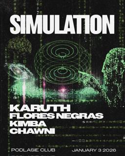 Simulation