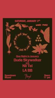 One Night In January