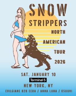 Snow Strippers