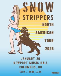Snow Strippers