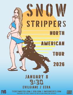 Snow Strippers