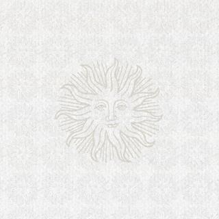 (A New) Dawn Patrol With Austen Van Der Bleek