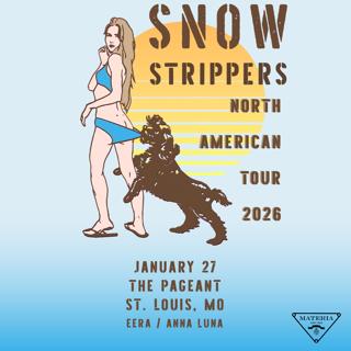 Snow Strippers