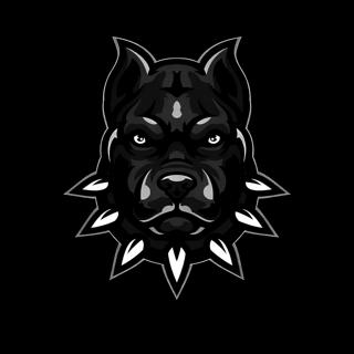 Passiv Aggressiv Invites Euphoriot 