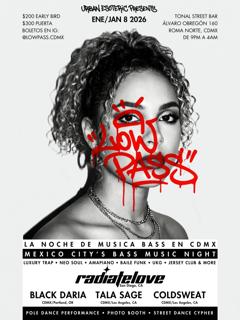 Low Pass: Mexico City'S Bass Music Night