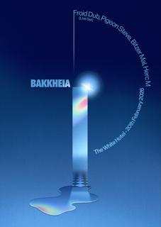 Bakk Heia With Froid Dub Live, Pigeon Steve, Herc M, Bitzer