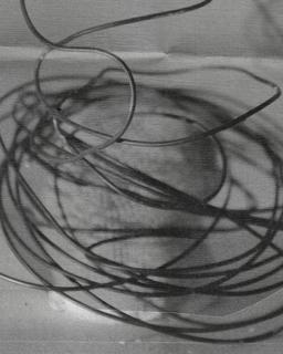 Cruise With Mareena, Muallem, Partok, Rene Wise