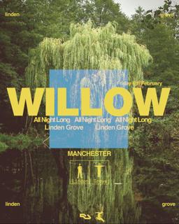 Linden Grove: Willow All Night Long