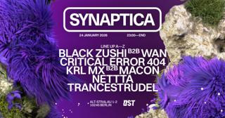 Synaptica W. Krl Mx B2B Macon. Critical Error 404, Trancestrudel