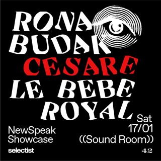 Newspeak Showcase