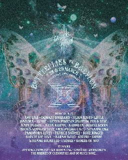 The Gardens Of Babylon - Butterflies In Babylon