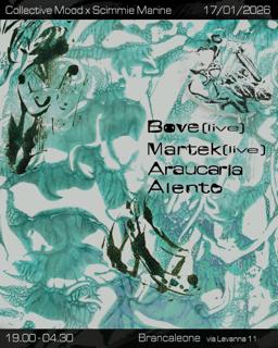 Collective Mood Invites Scimmie Marine