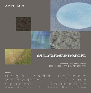 Birdsnake - Biofilter Album Launch