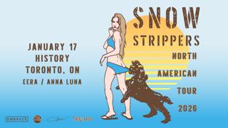 Snow Strippers