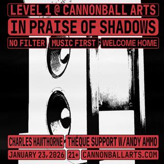 In Praise Of Shadows