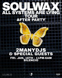 Soulwax Afterparty: 2Manydjs, Some & Guests