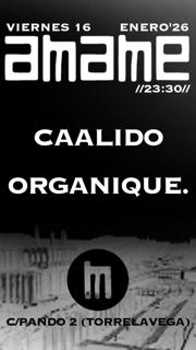 A.M.A.M.E. - Vie 16 - Caalido - Organique